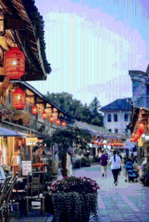 细胞分裂6