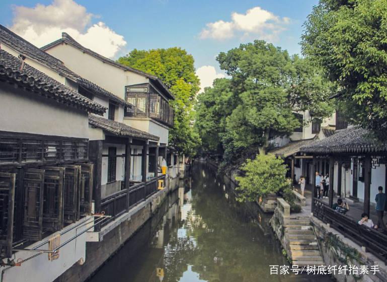 爱吃叶子的毛毛虫